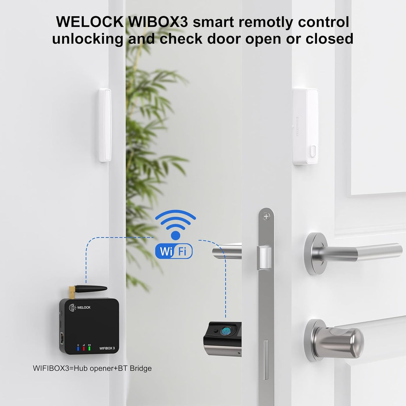 WELOCK Smart Lock Touch41 Serrure à empreinte numérique Serrure électronique