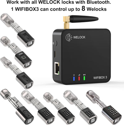 Accoglie wifibox smart block per sblocco remoto e connessione con Alexa Wifi Gateway